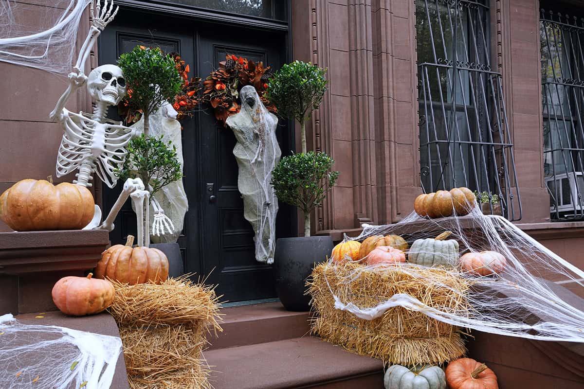 Skeletons and Cobwebs on Double Doors