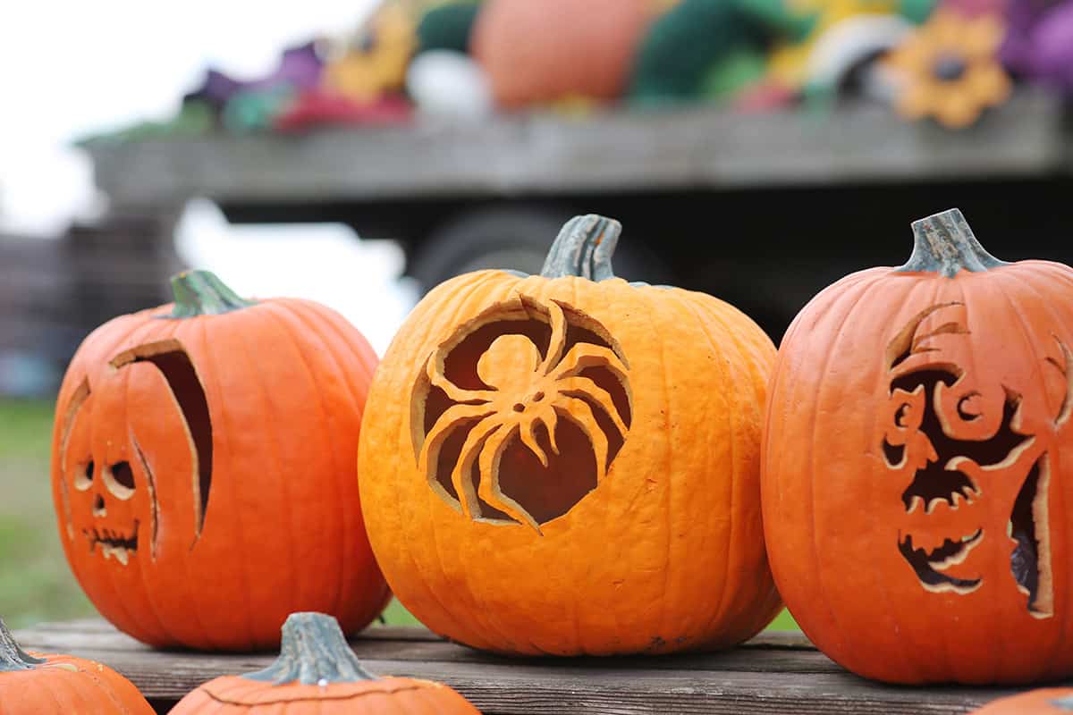 Spider and Skull Carvings