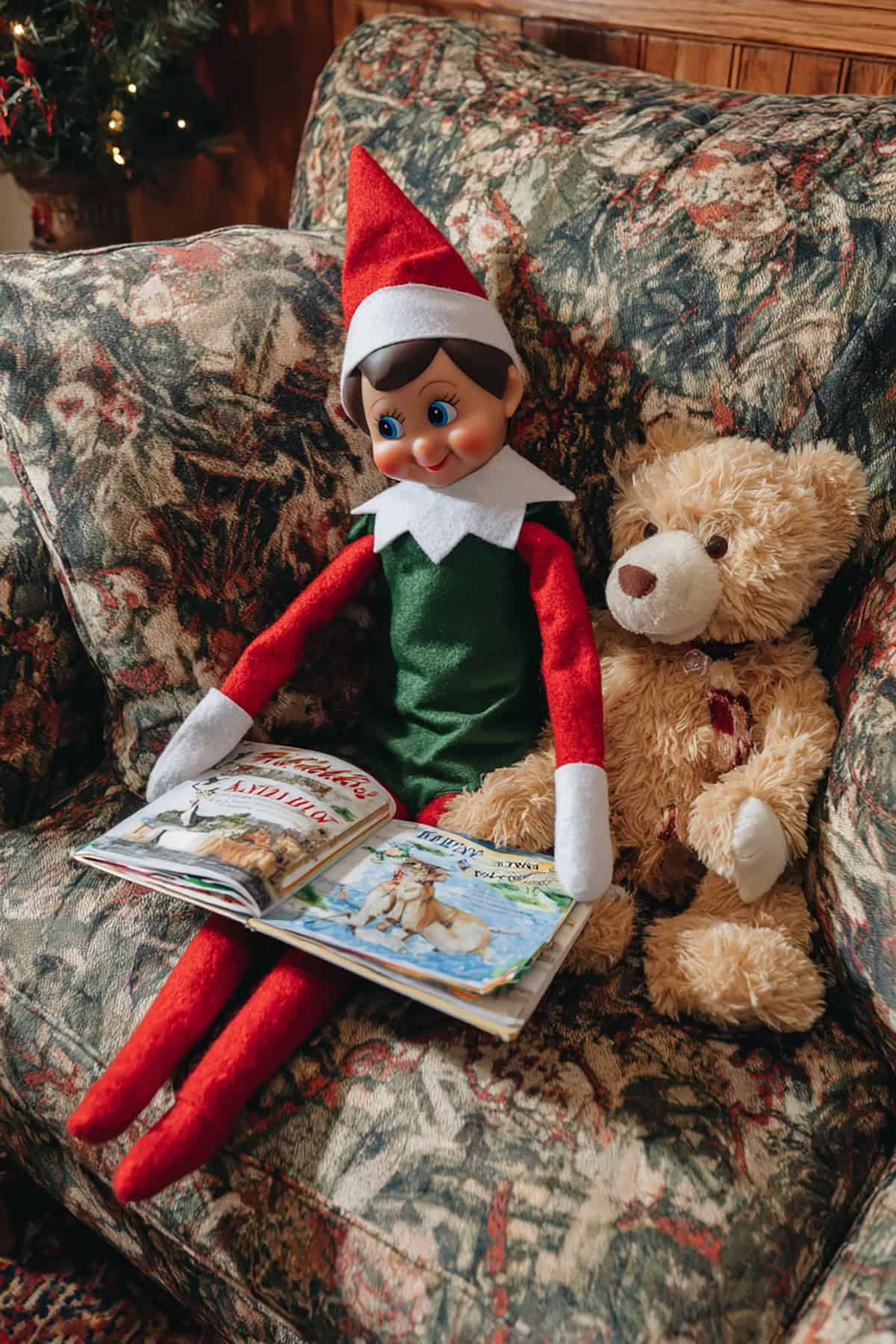 Story Time with a Furry Friend