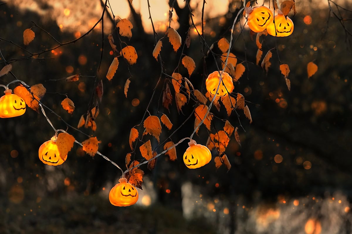 Strings of Lantern Light