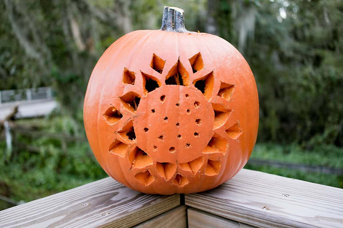 Sunburst Carved Pumpkin