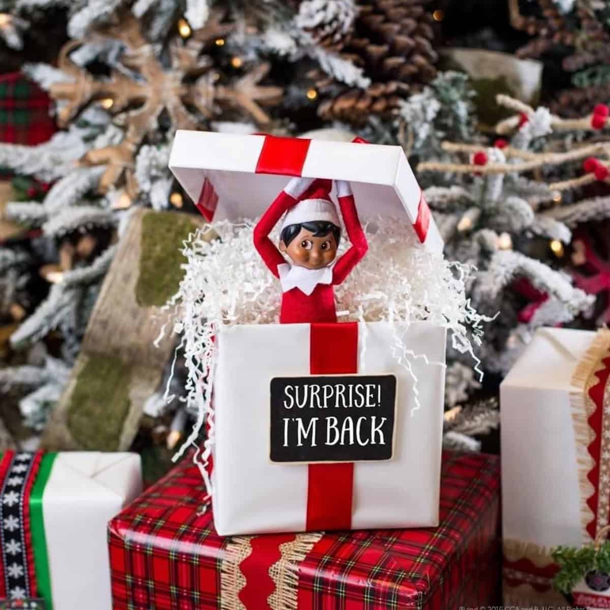 Surprise Return in a Gift Box
