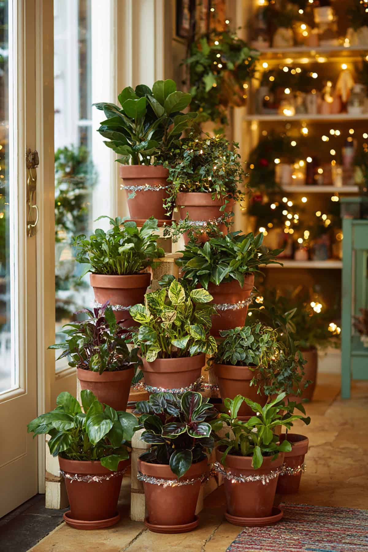 Terracotta Tier of Houseplants