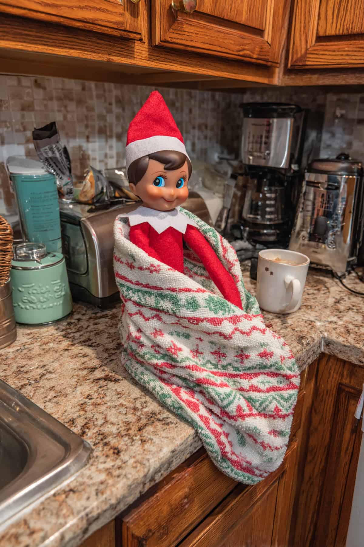 Warming Up on the Kitchen Counter