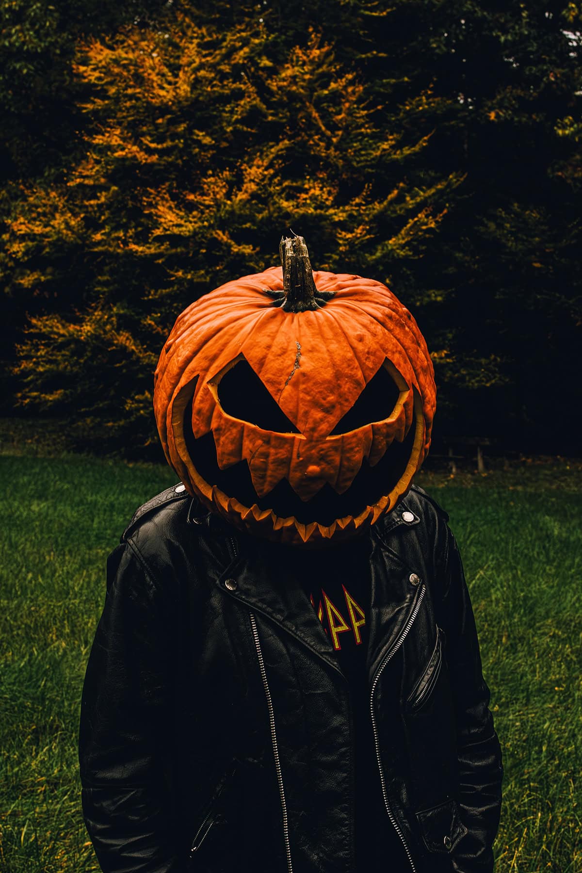 Wearing a Pumpkin Head in the Open Air