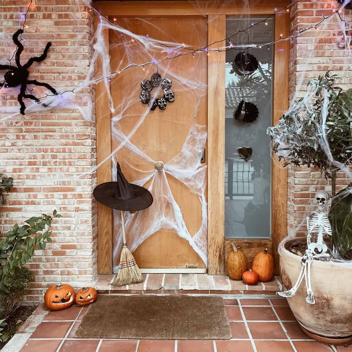 Web Covered Wooden Door