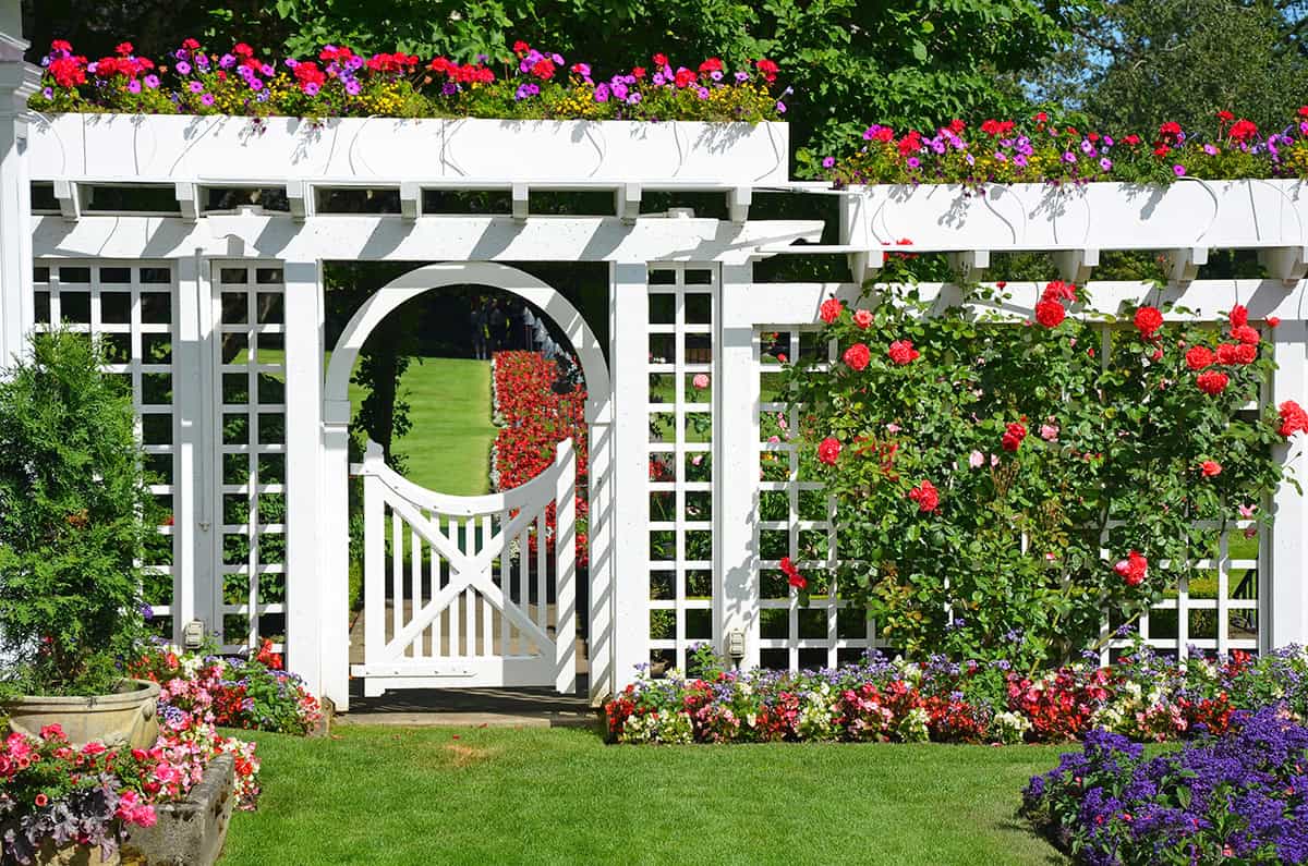 White Trellis Gate with Climbers