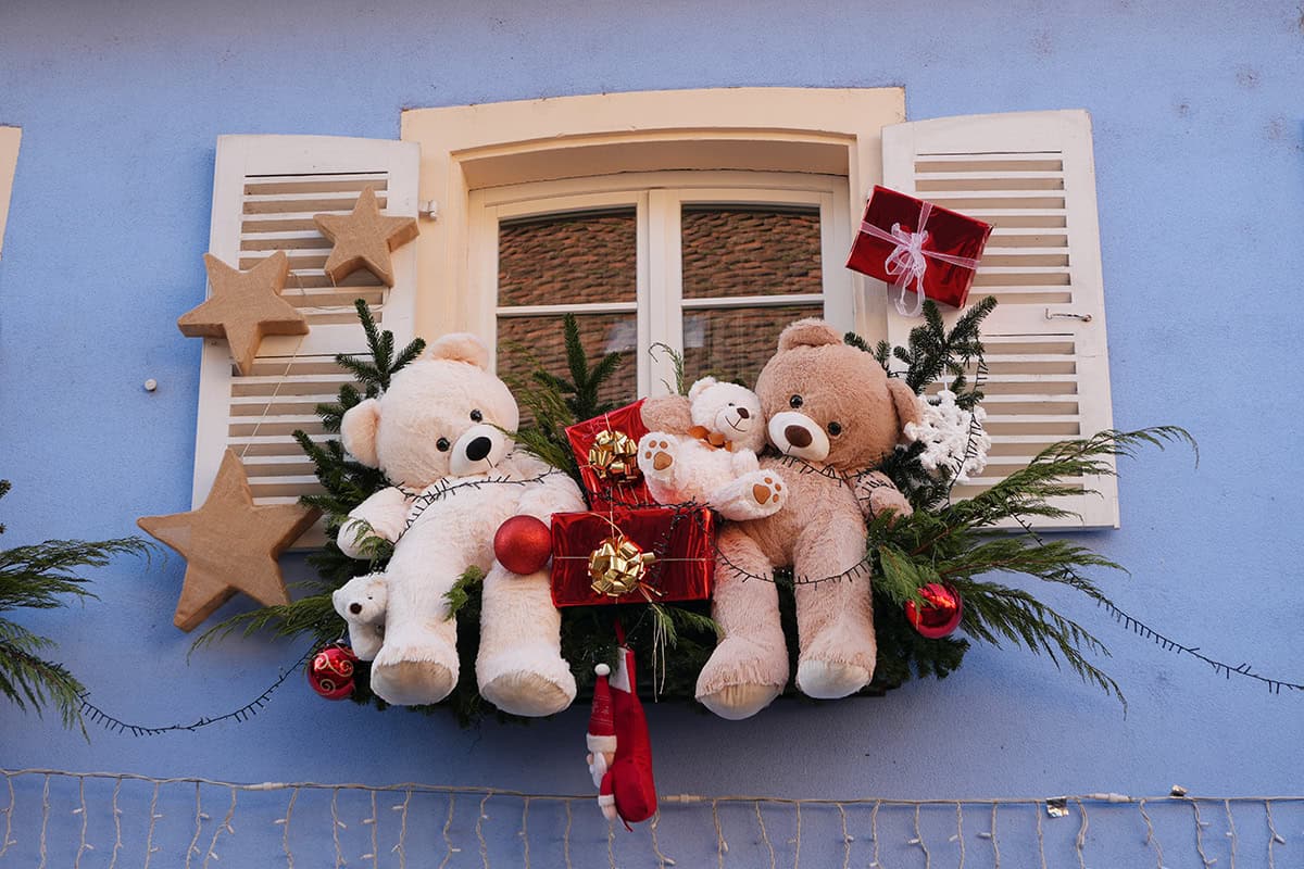 Bears Waiting for Winter Magic