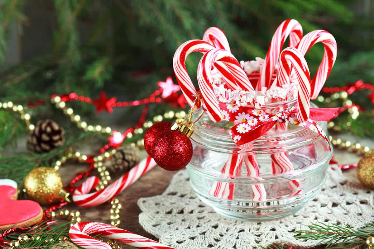 Candy Cane Lane