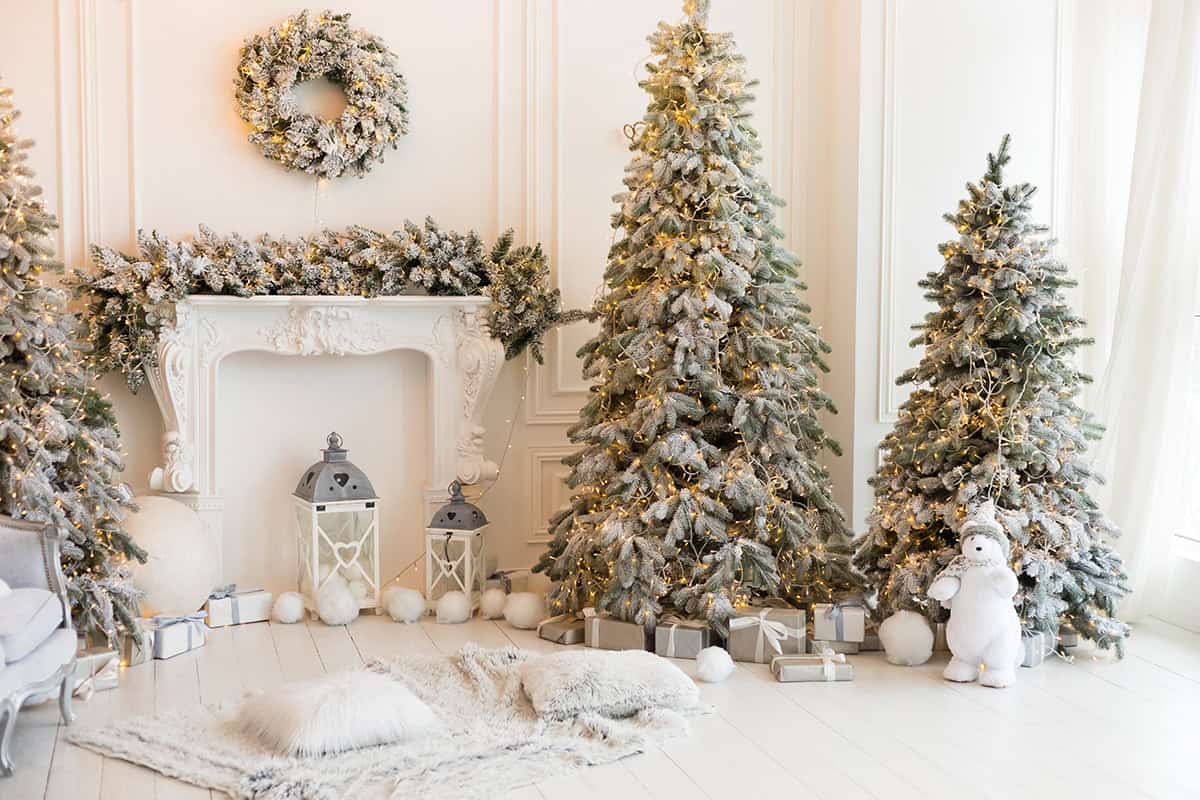 Frosted White Tree That Feels Like Morning Snow