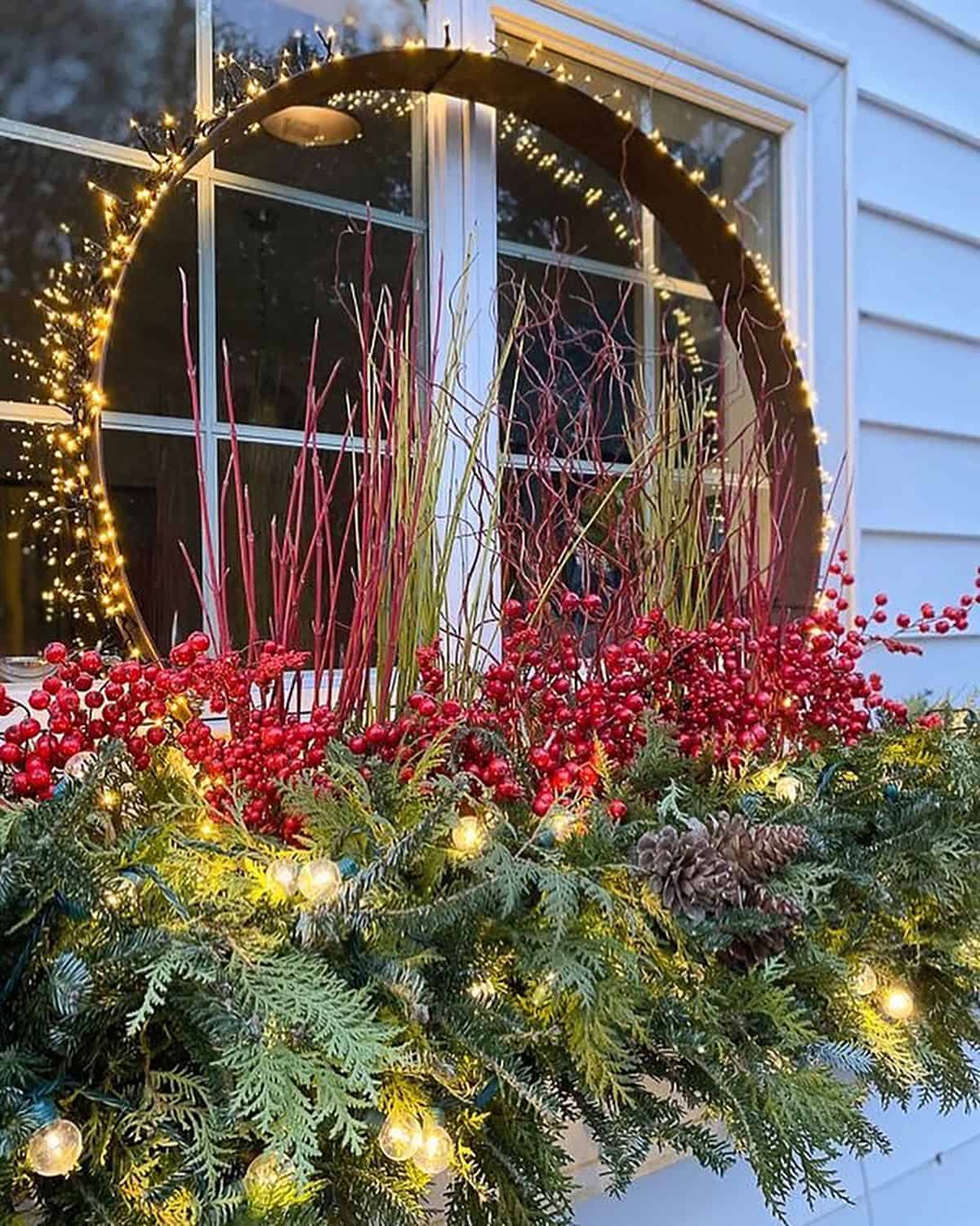 Glowing Circle of Winter Light
