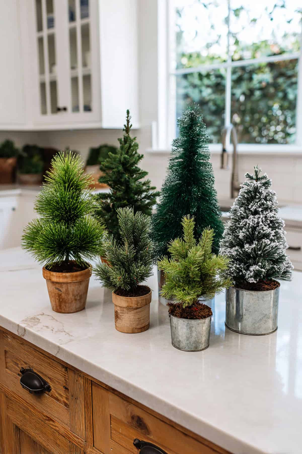 Mini Christmas Tree Forest