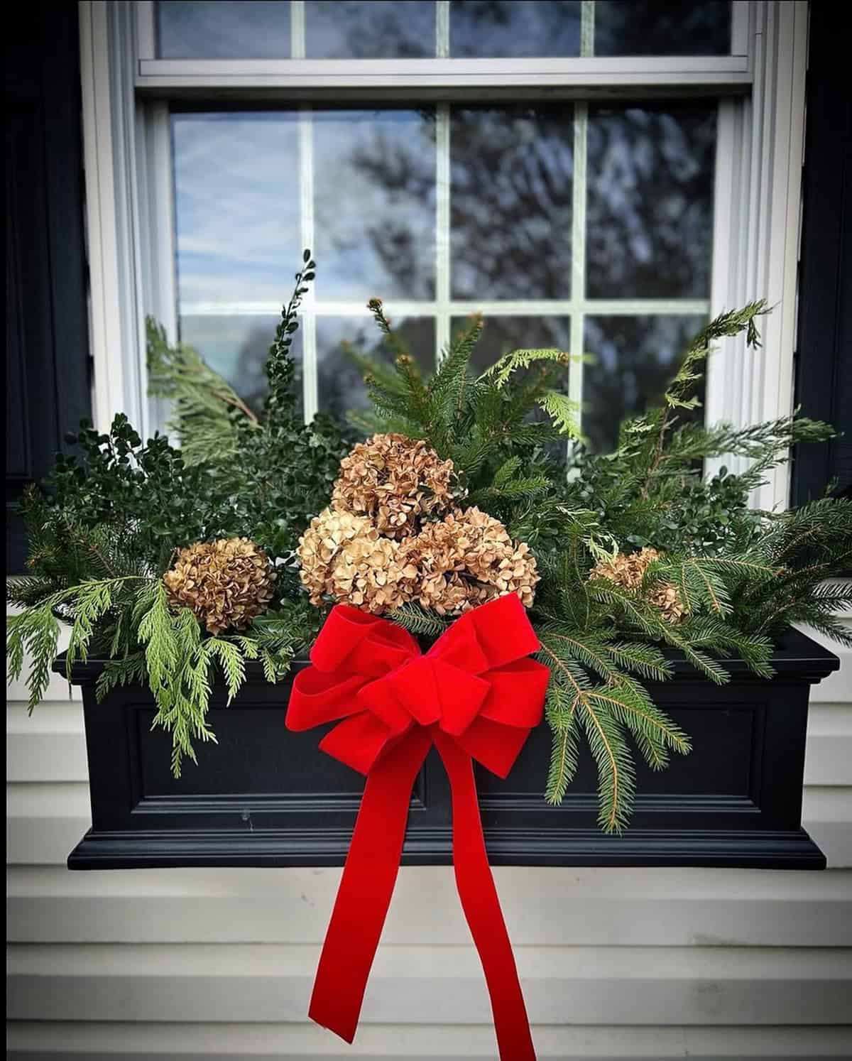 Refined Contrast with a Velvet Bow