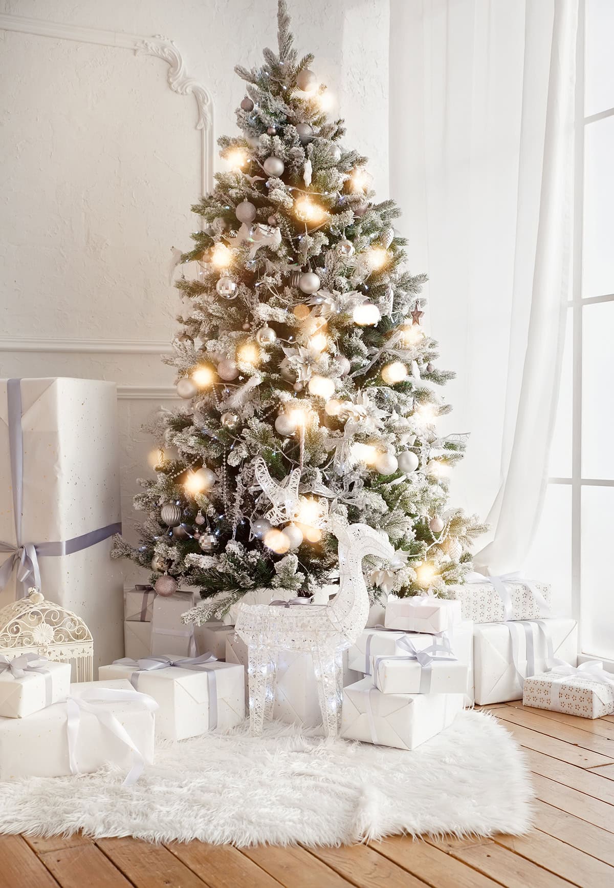 Silver and White Tree with Gentle Contrast