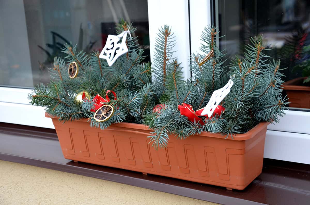 Simple Evergreen Charm