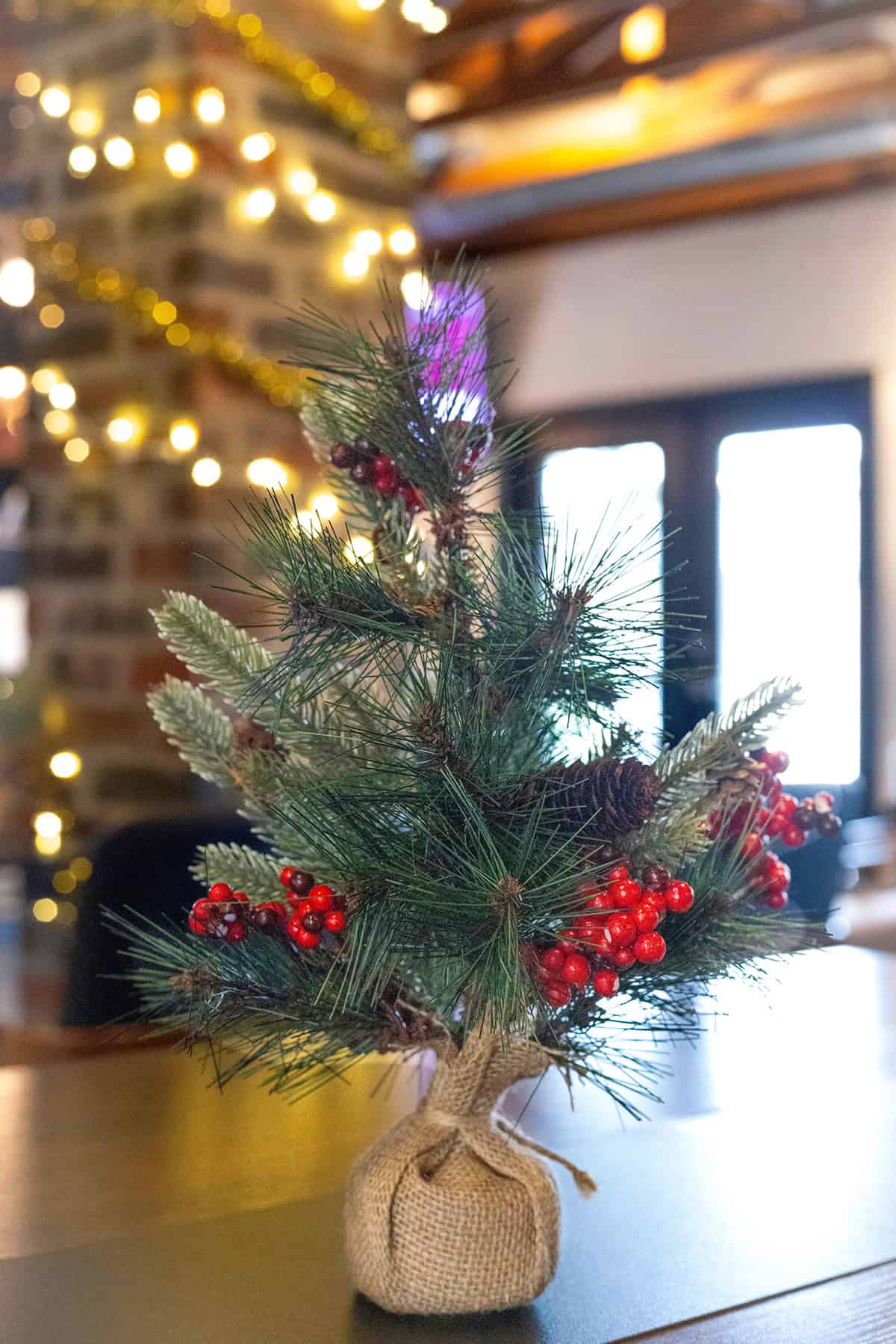 Tabletop Tree Alternatives