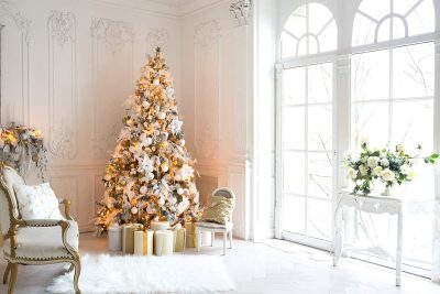 White Christmas Tree Ideas