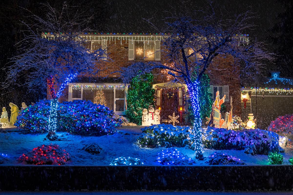 Blue and Multicolor Lights on a Snowy Yard