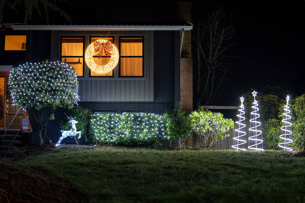 Christmas Deer and Spiral Tree Lights