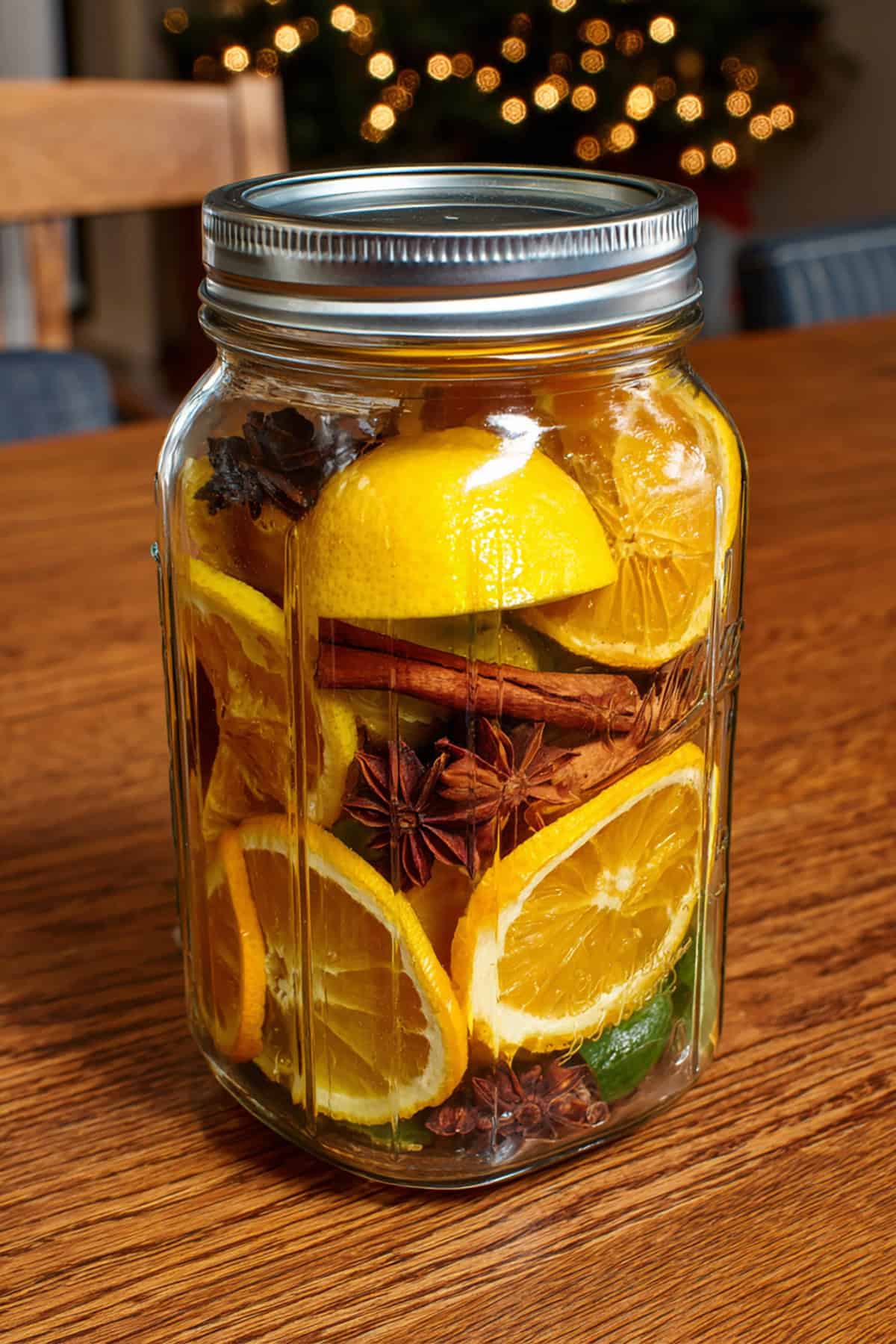 Christmas Simmer Pot Kit