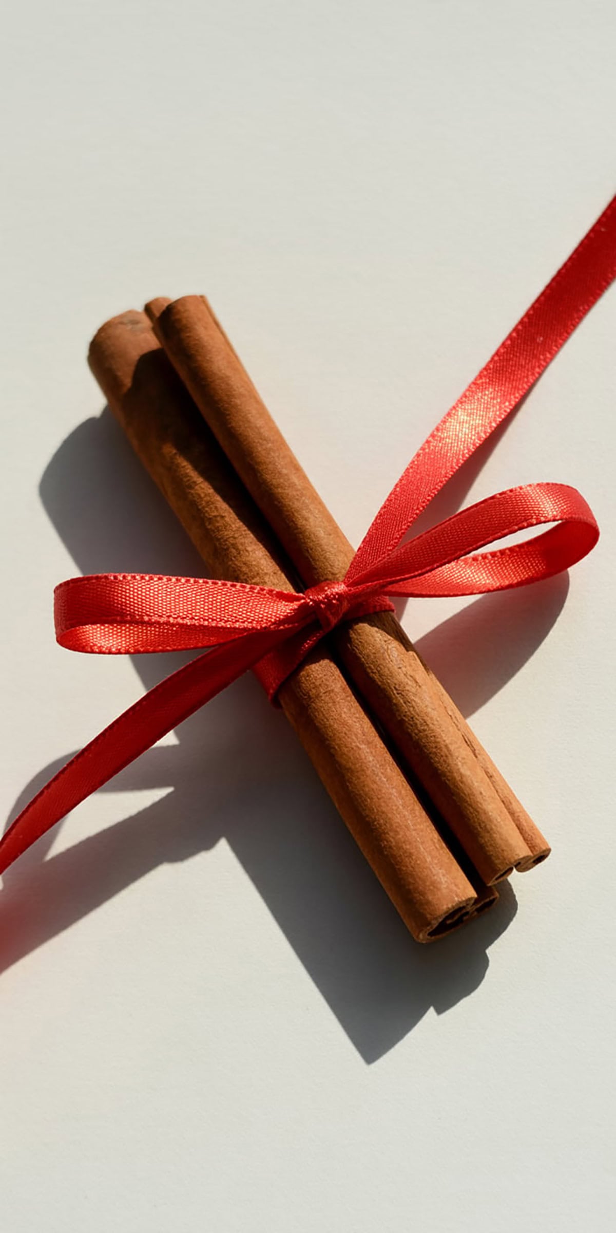 Cinnamon Stick and Ribbon