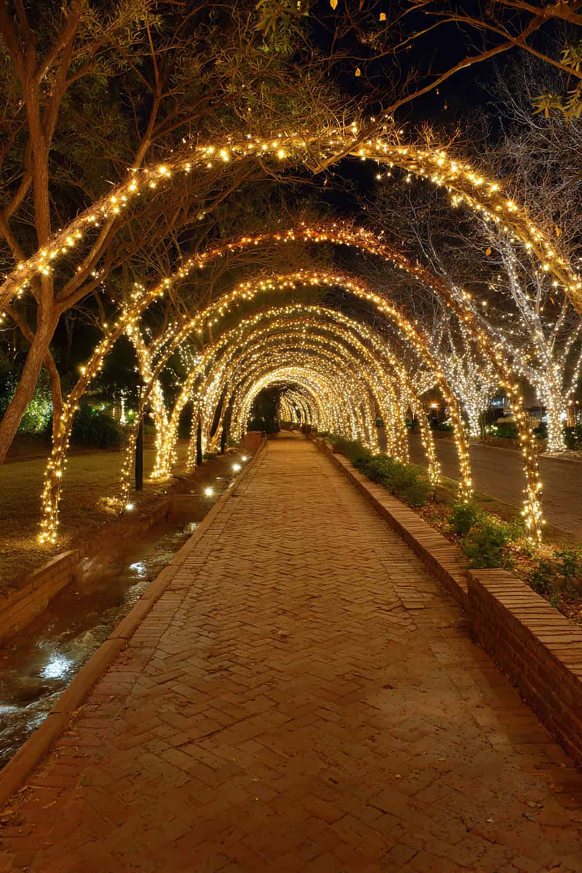 Fairy Light Tree Tunnel