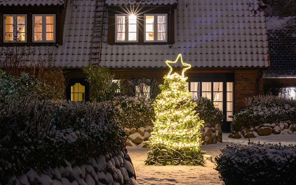 Front Yard Christmas Tree with Star Light Topper