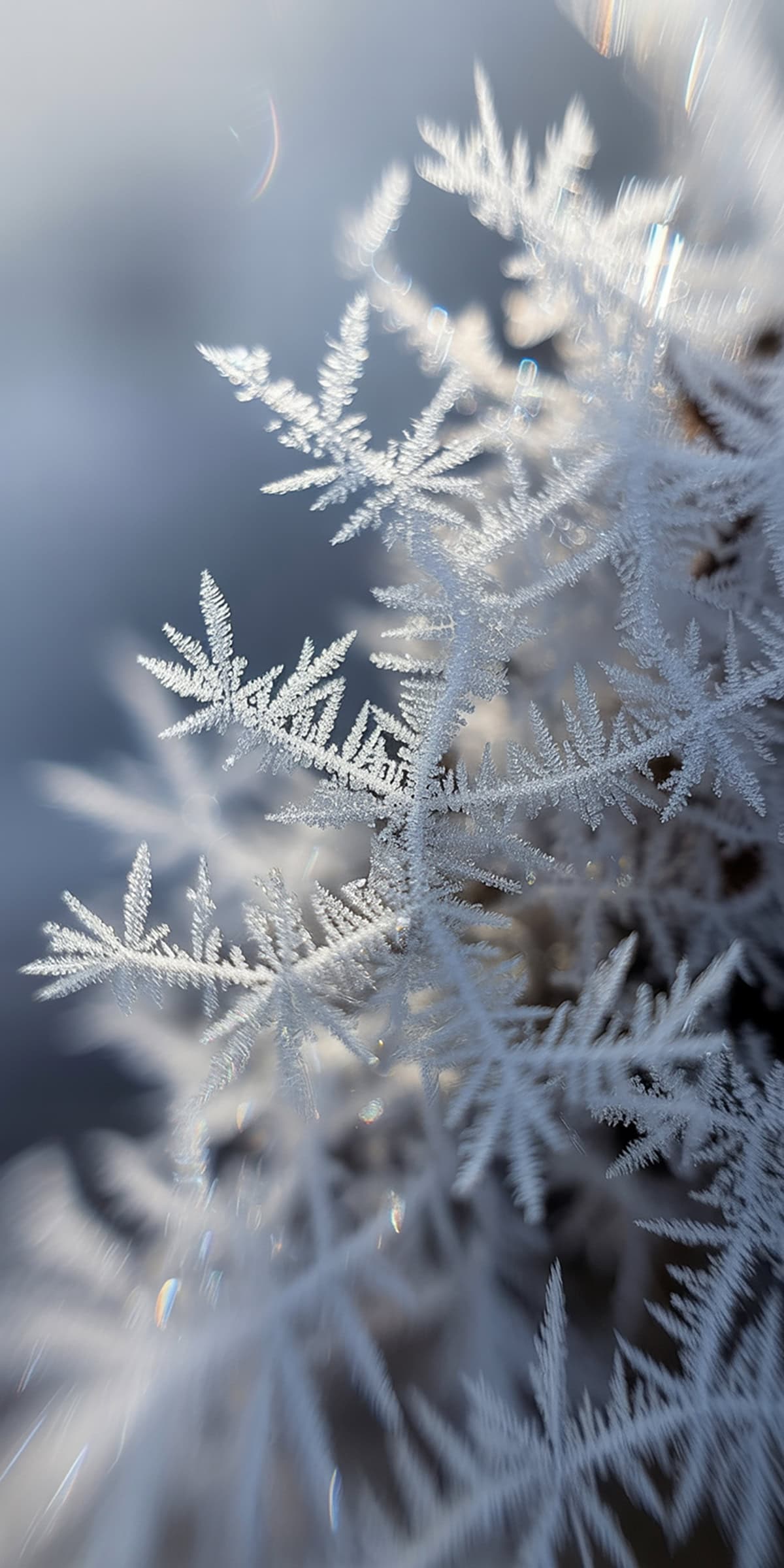 Frost Texture Macro
