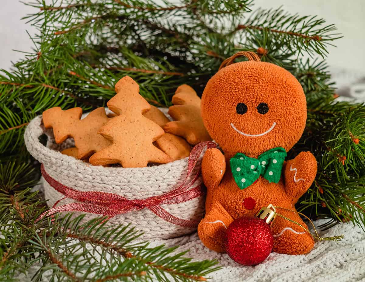 Gingerbread Cookie Basket