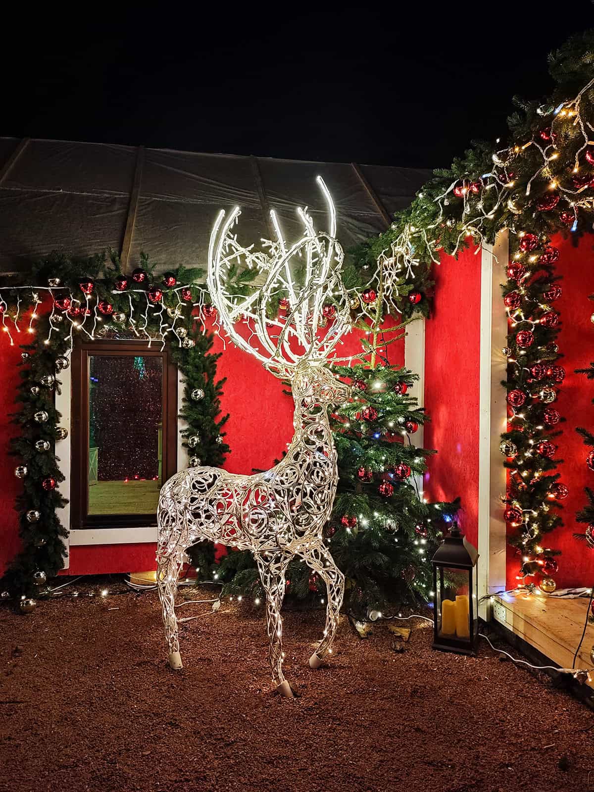 Lighted Reindeer Beside Evergreen Trees