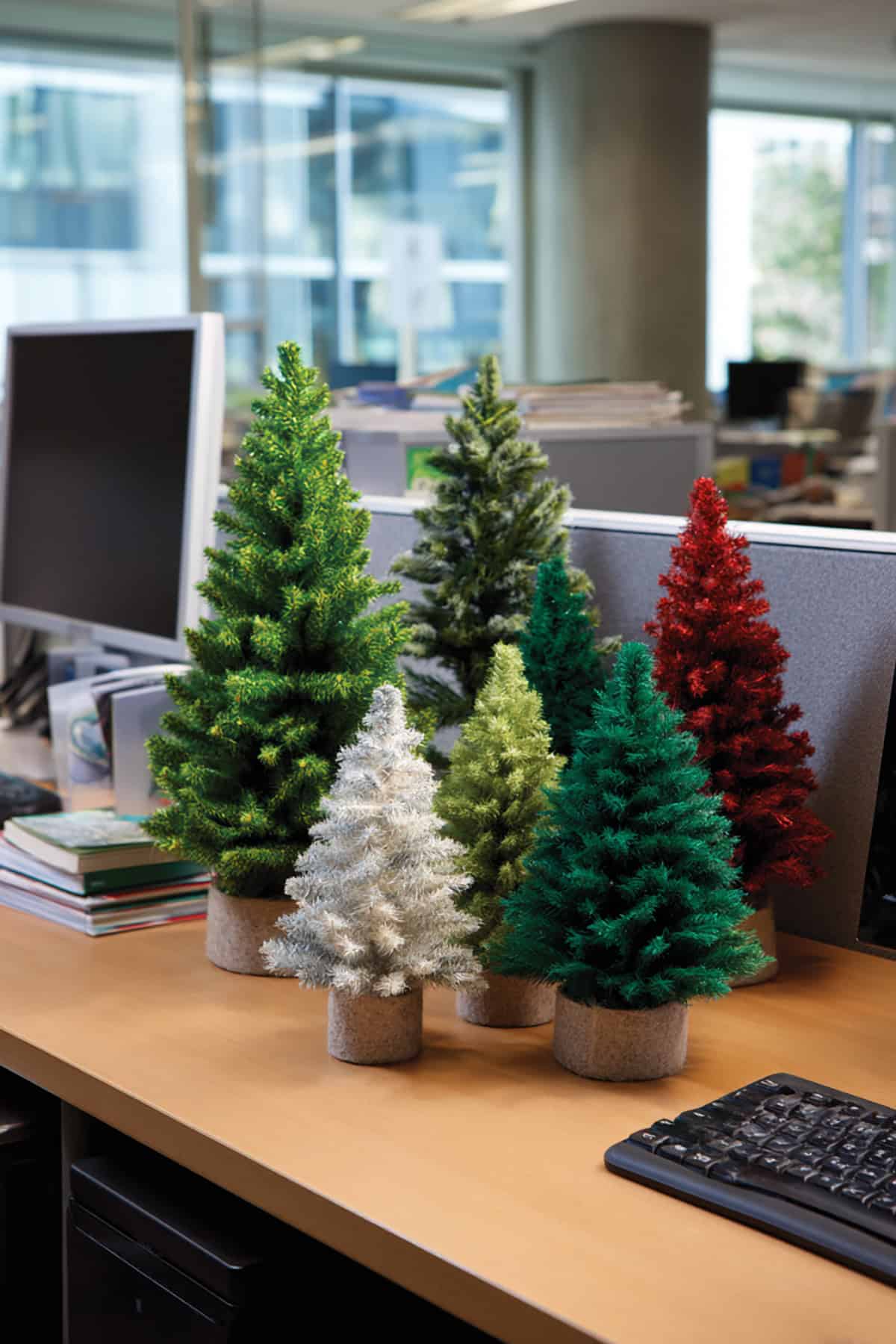 Mini Desk Tree Forest