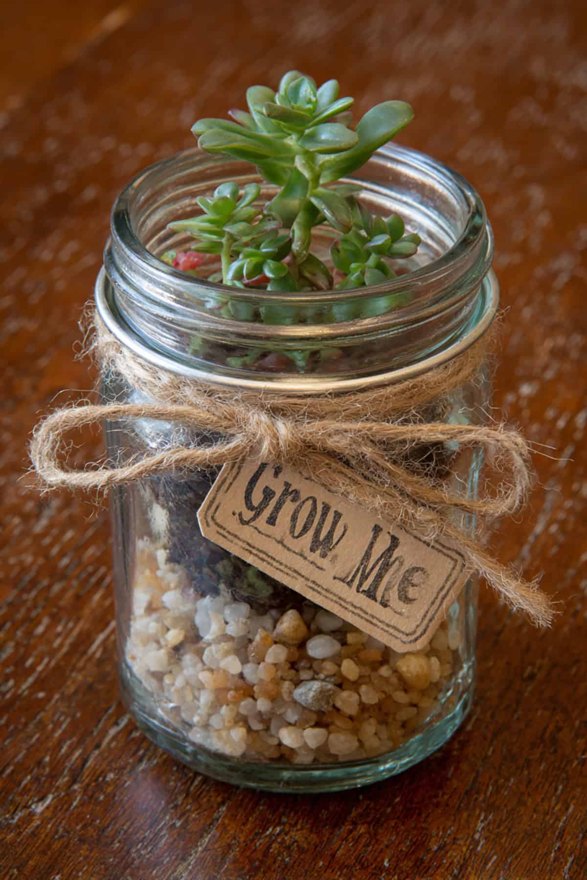 Mini Gardening Jar