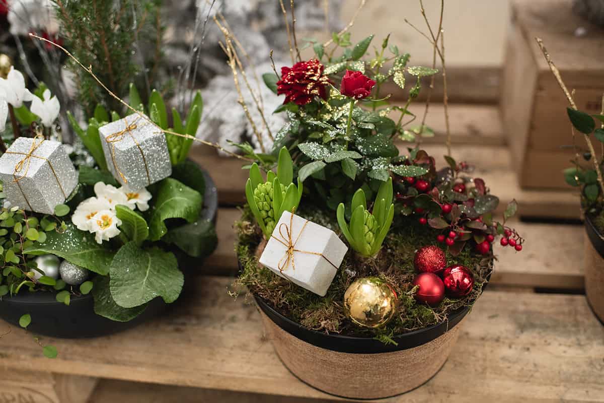 Miniature Holiday Planter