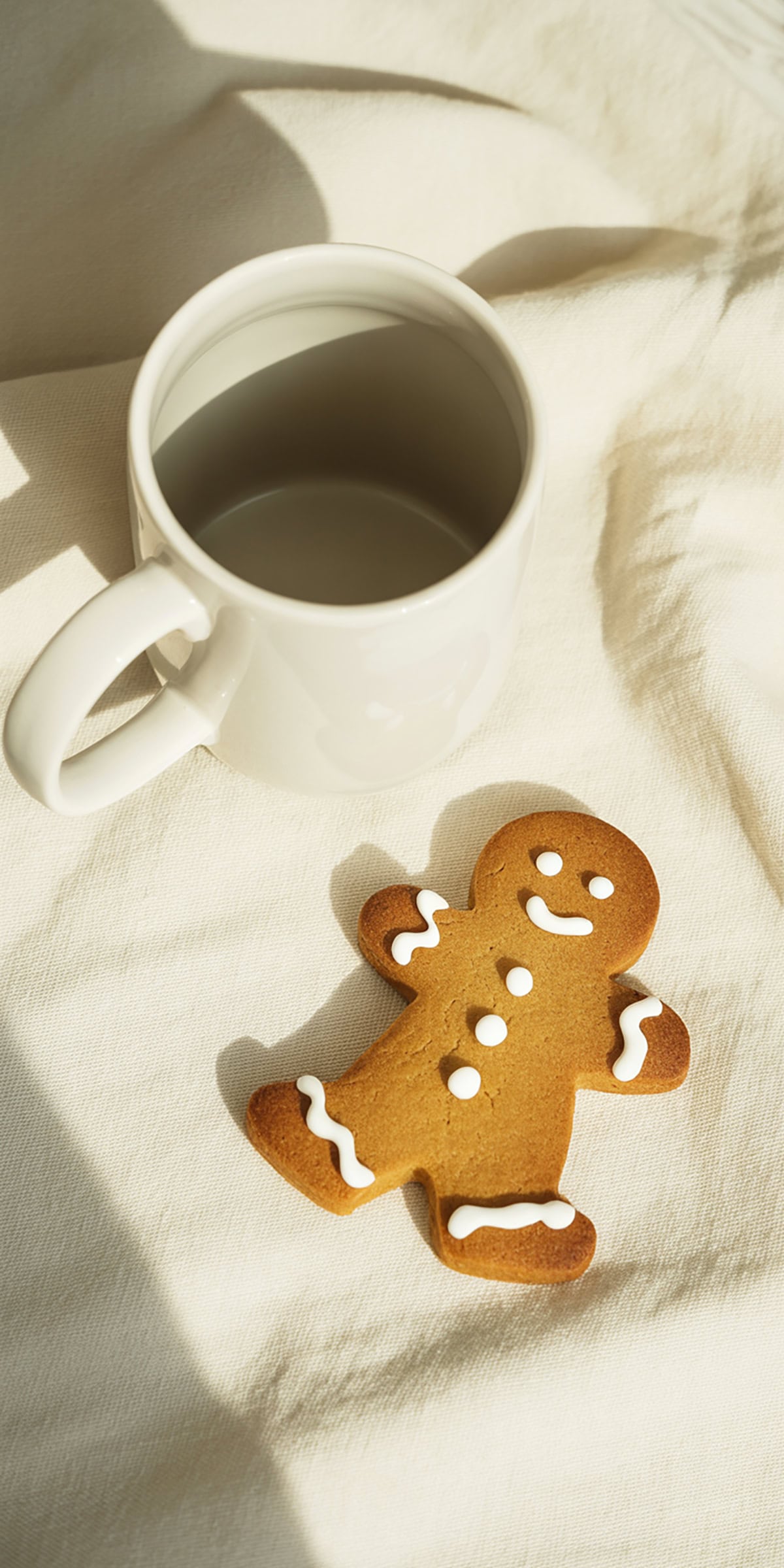 Mug and Gingerbread Cookie