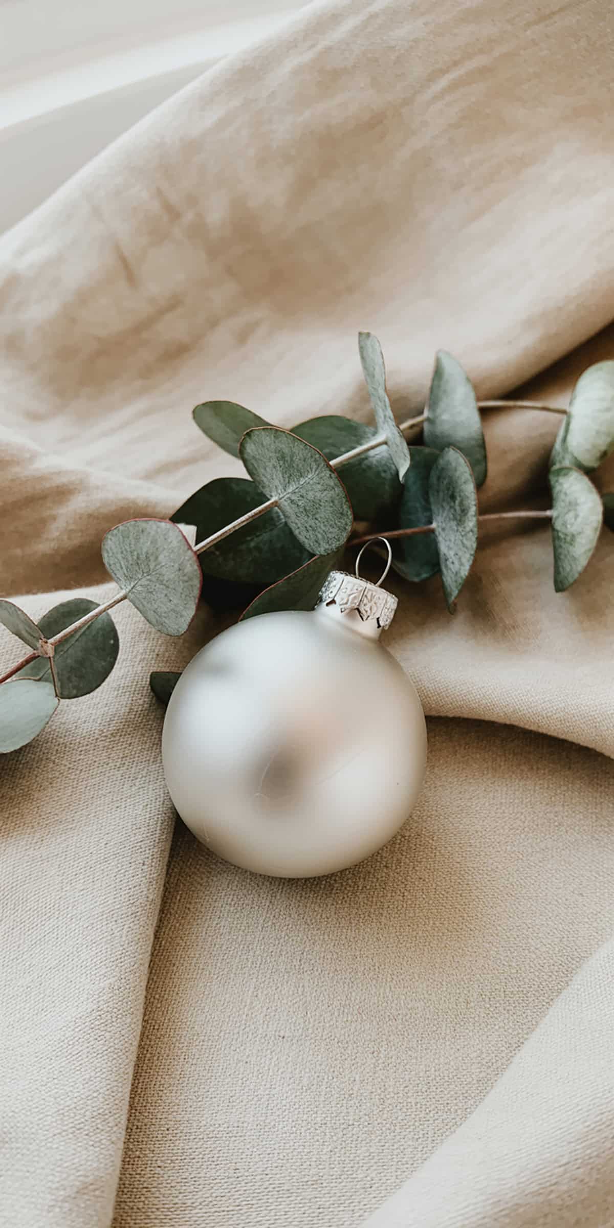 Ornament and Eucalyptus Leaf