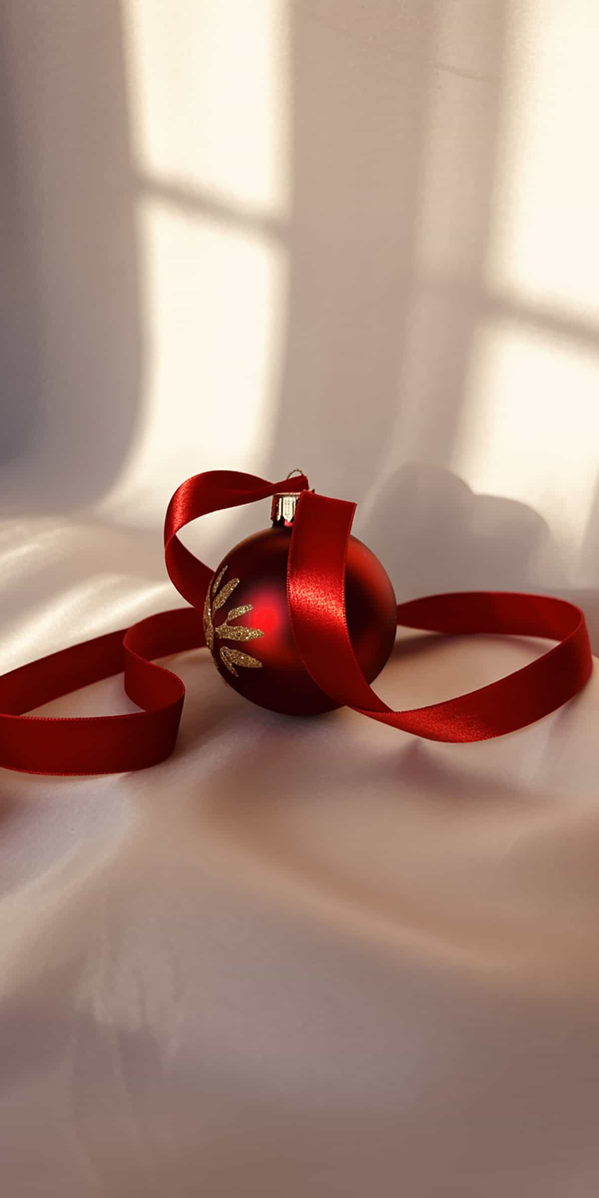 Ornament and Ribbon Still Life