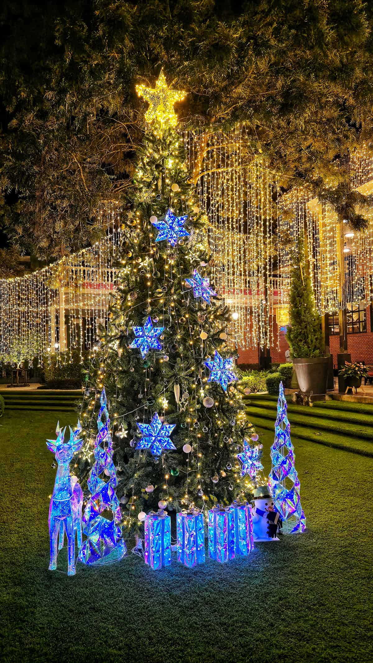 Outdoor Lights With Electric Blue Stars