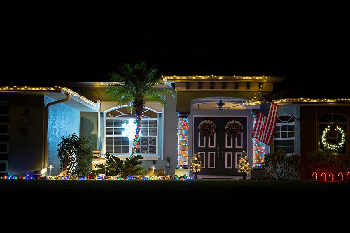Palm Tree Wrapped in Christmas Lights