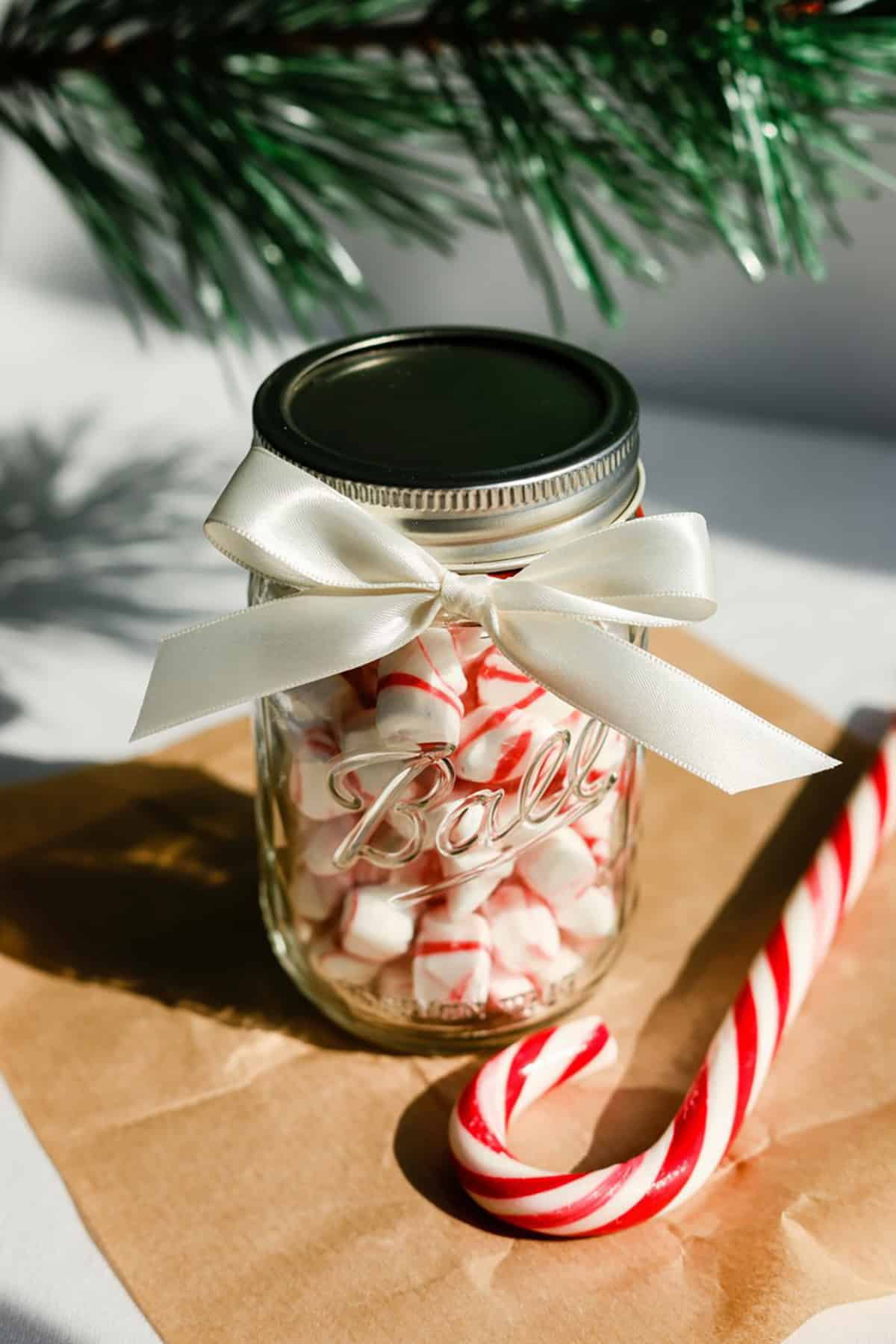Peppermint Bark Jar