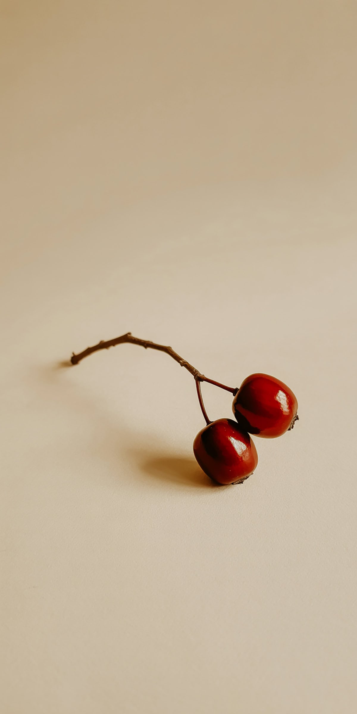 Single Red Berry Stem