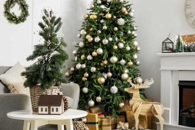 Small Living Room Christmas Ideas