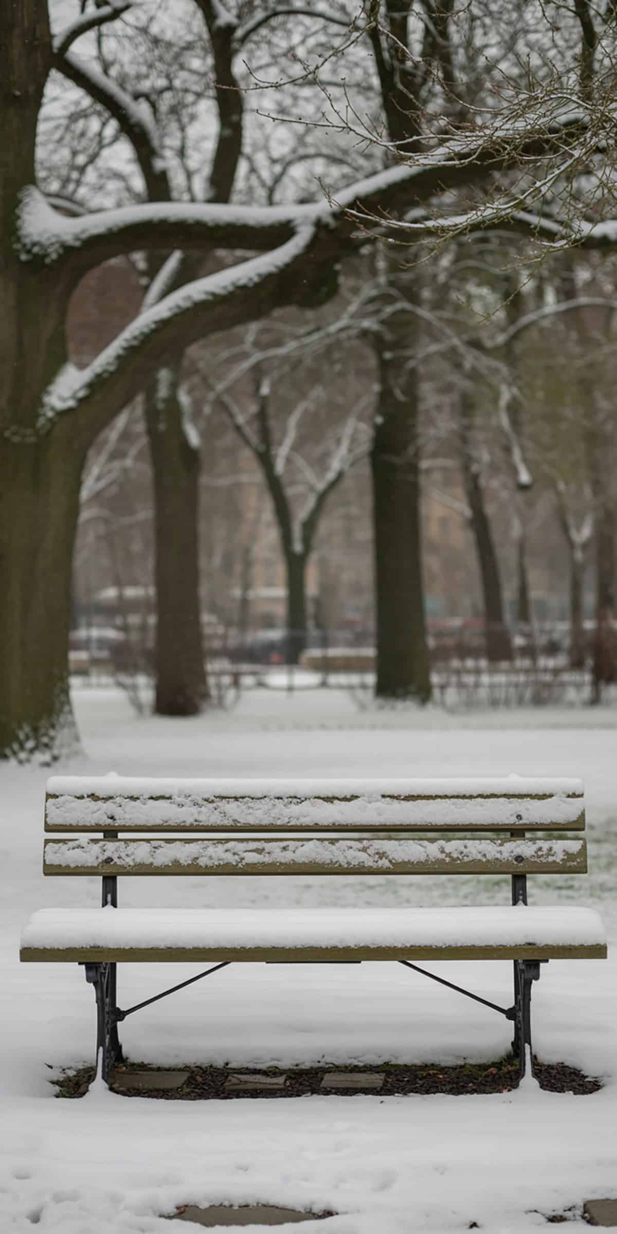 Snowy Bench in Park
