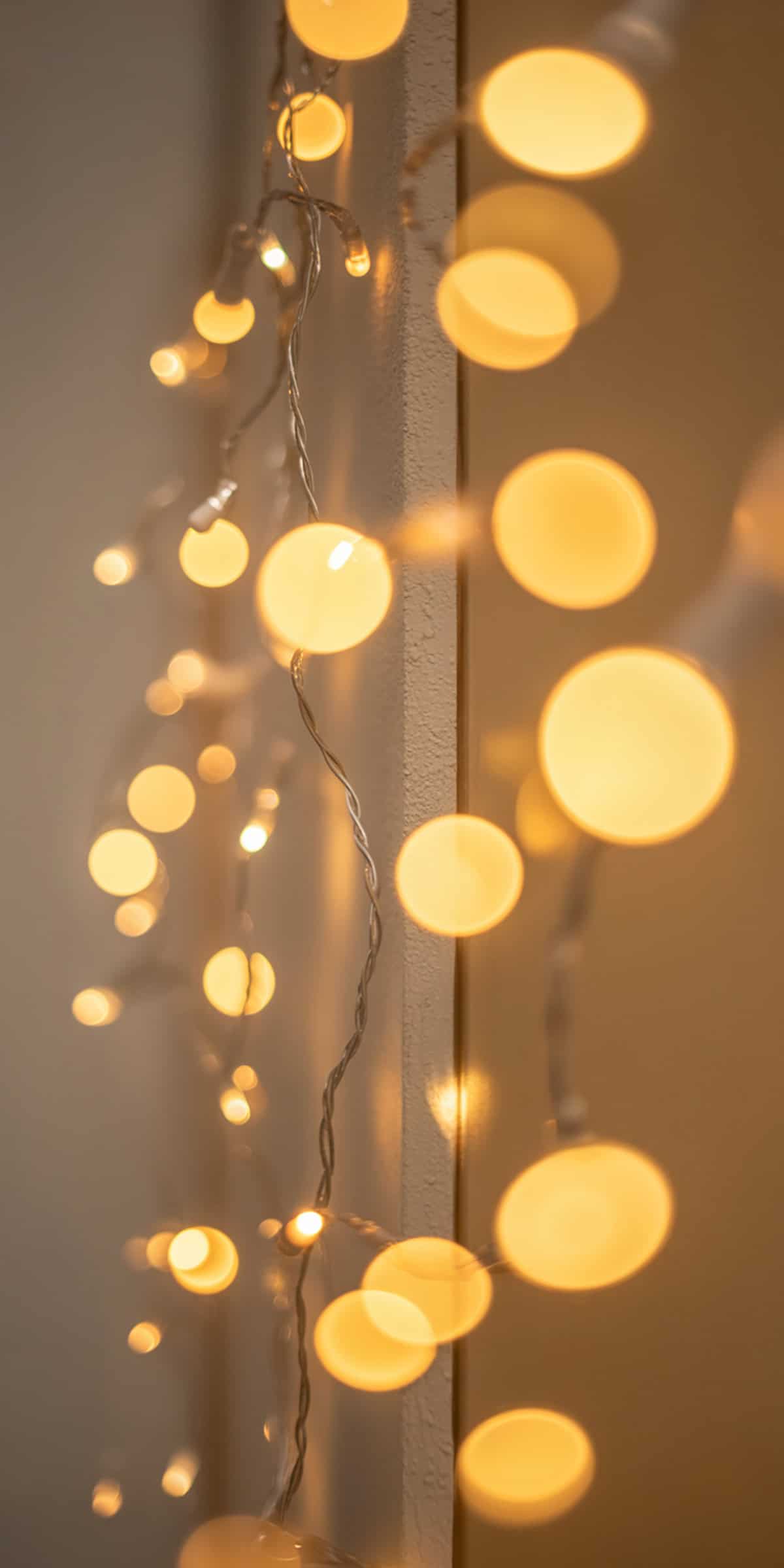 Soft Bokeh Christmas Lights