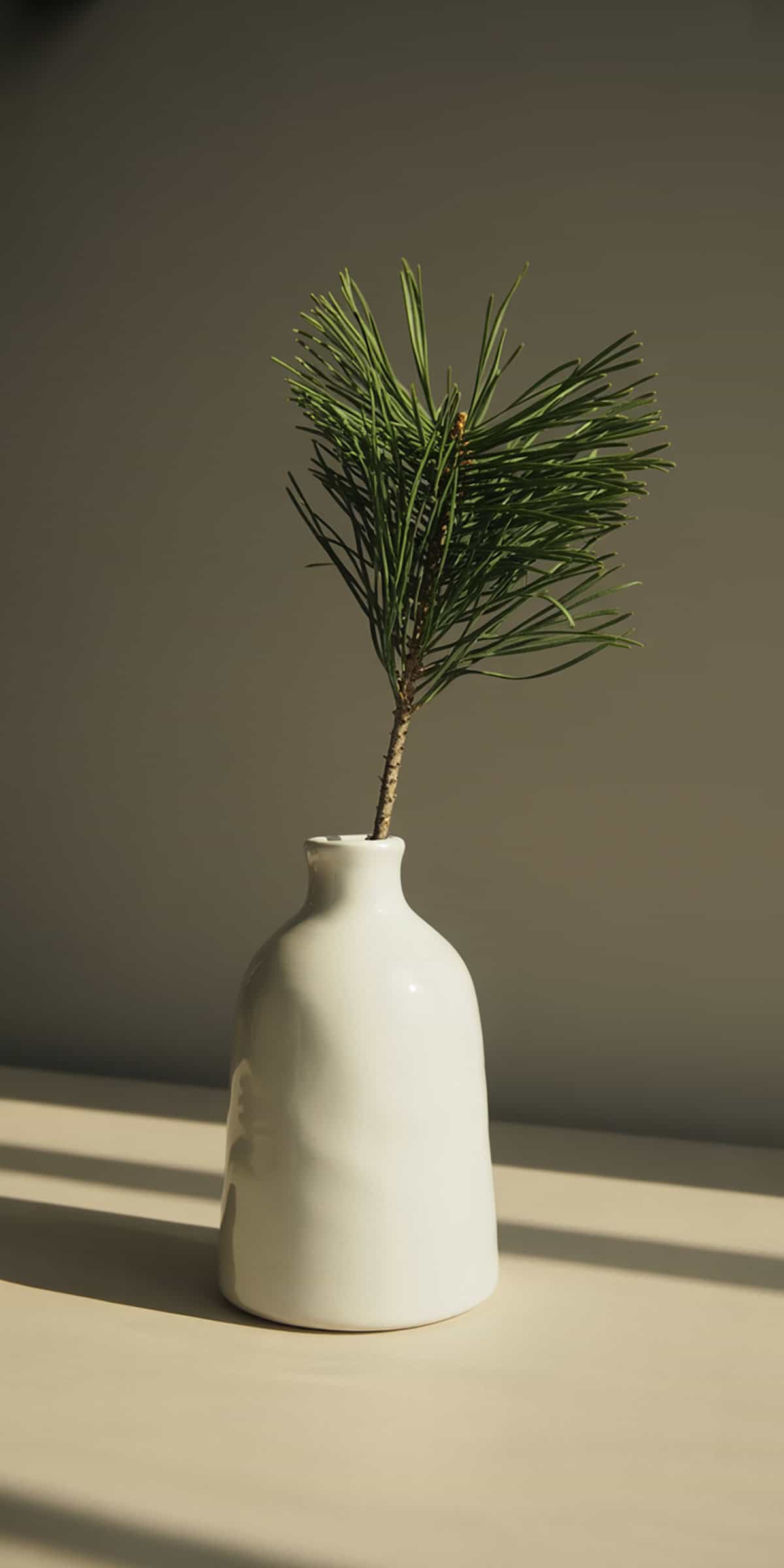 White Ceramic Vase with Pine