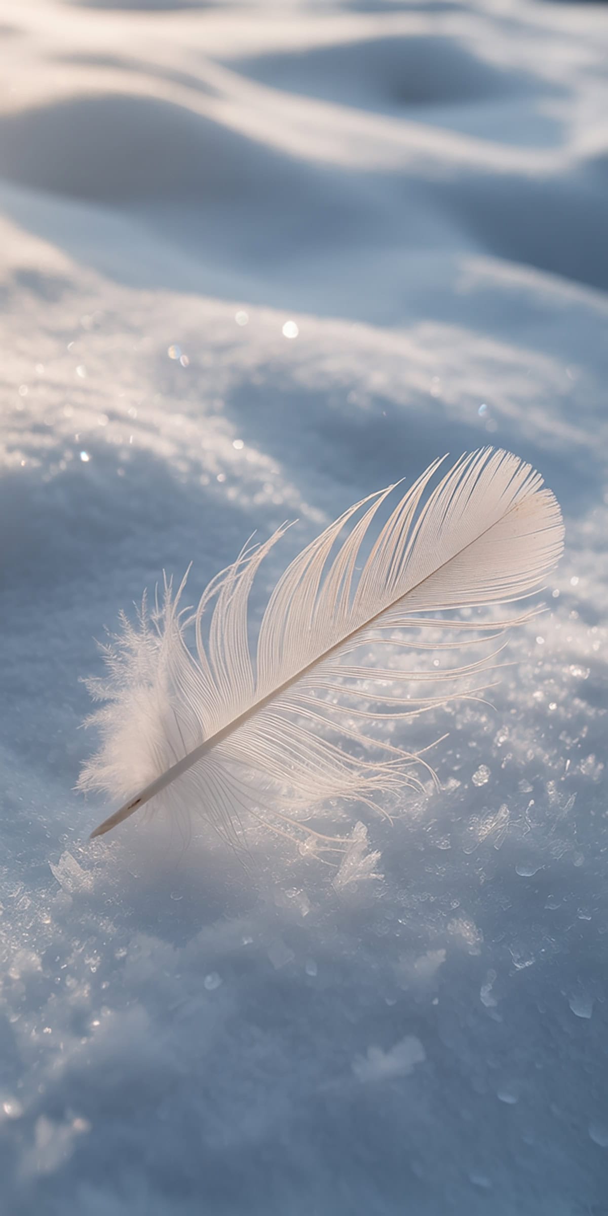 White Feather and Snow