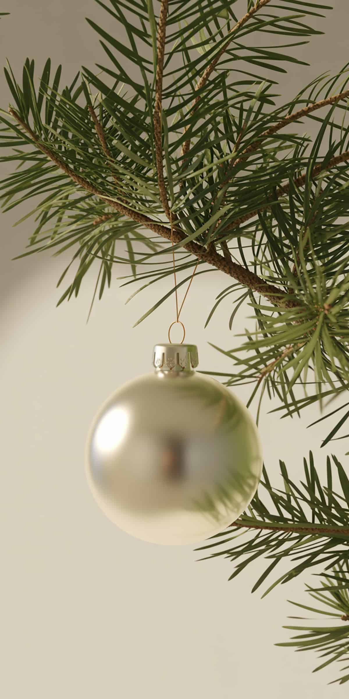 White Ornament Hanging from Branch