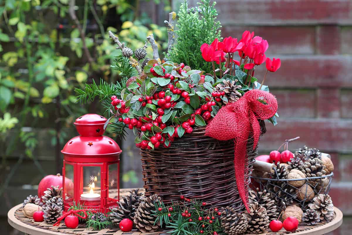 Woodland Evergreen Basket