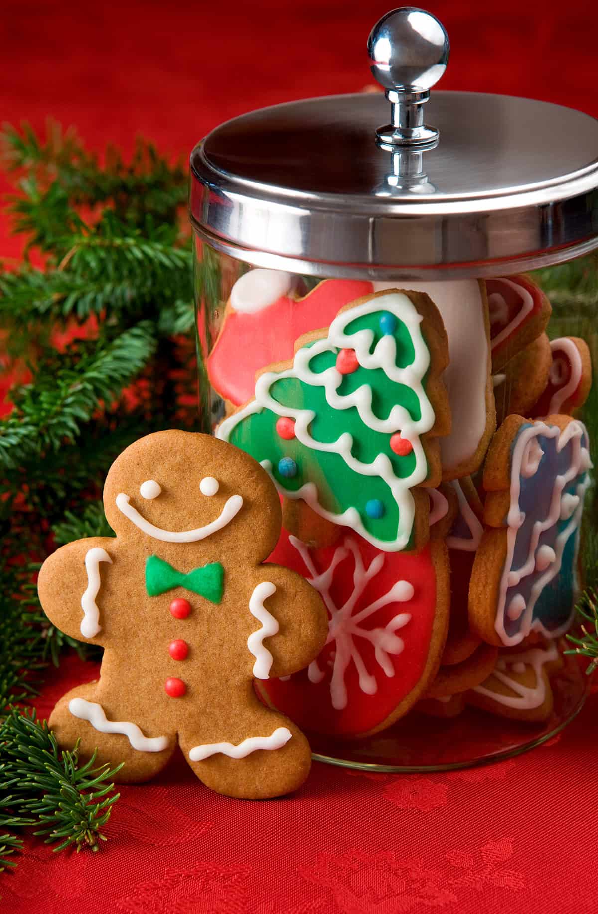 christmas gingerbread jar