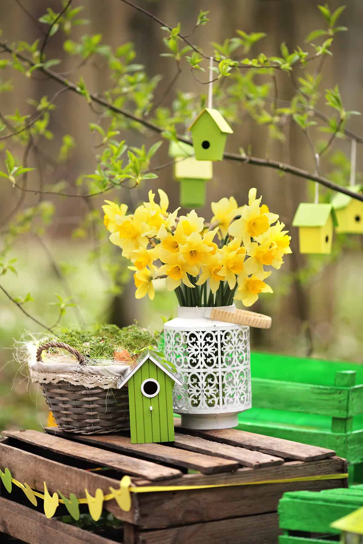 Birdhouse Cluster and Potted Narcissus