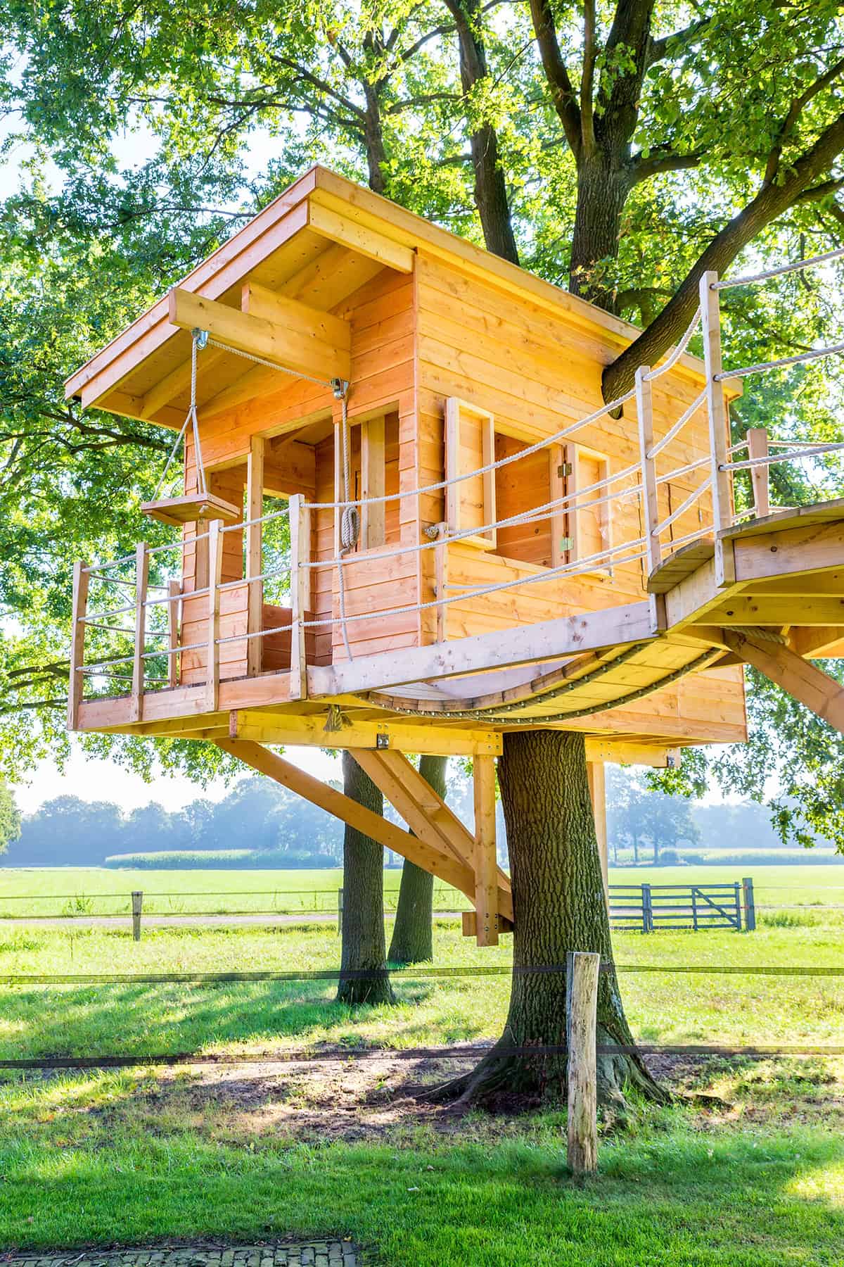 Elevated Treehouse Style She Shed Office